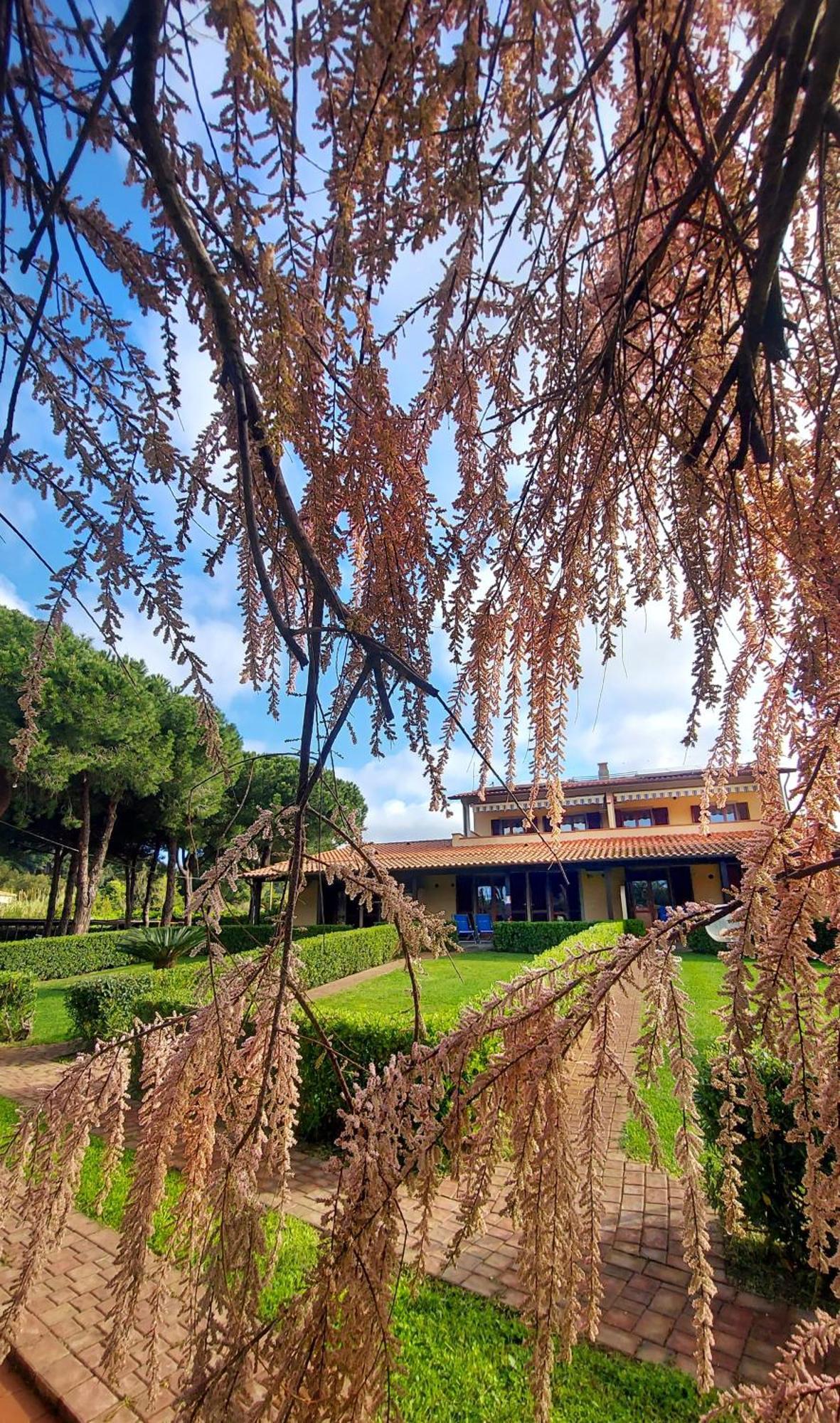Lido Azzurro Residence Capoliveri  Esterno foto